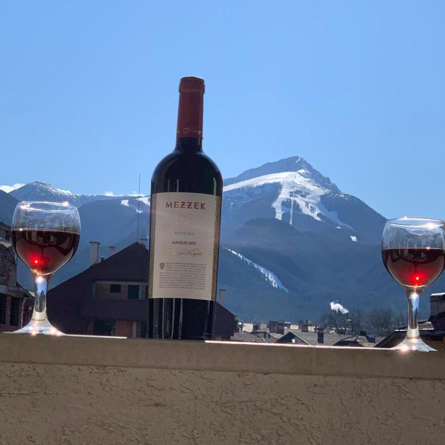 Dolomiti Apartments 班斯科 外观 照片
