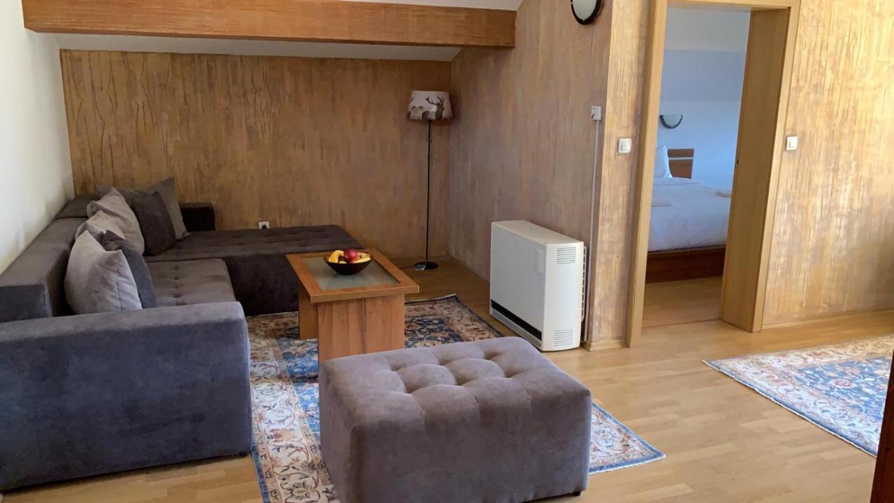 Dolomiti Apartments 班斯科 外观 照片
