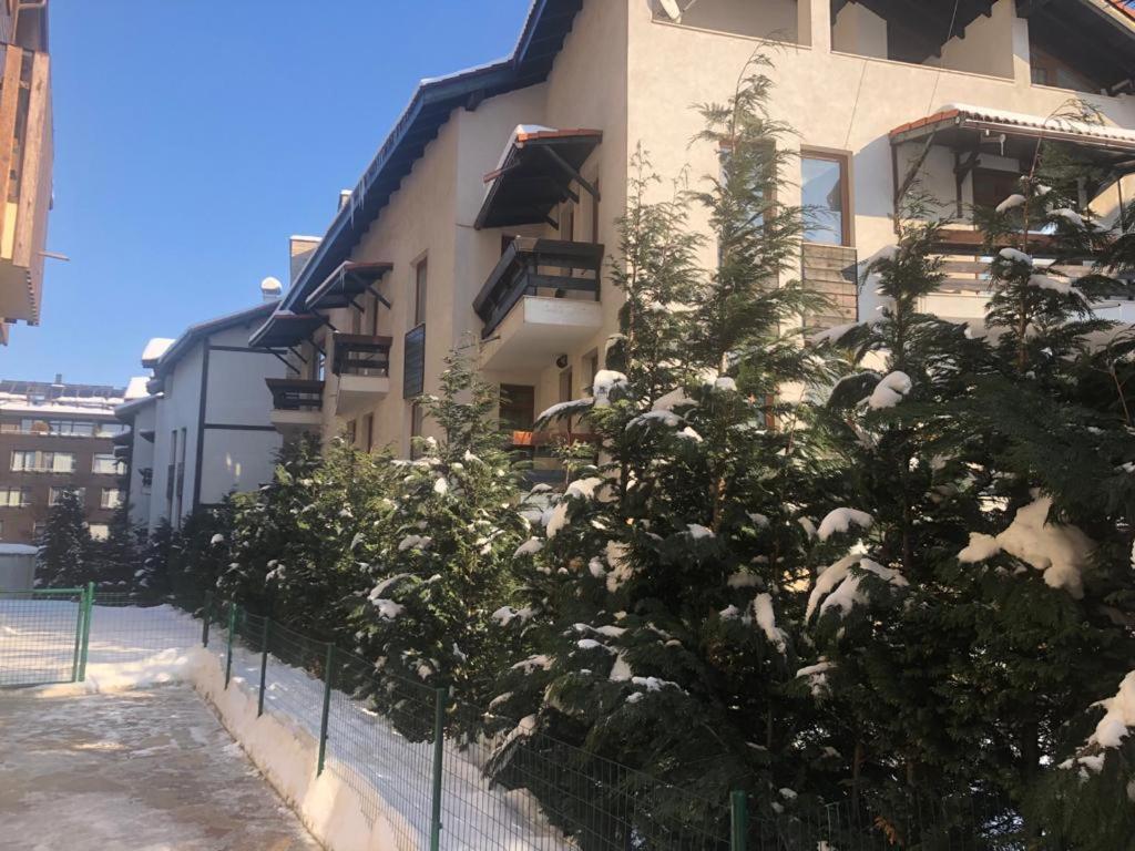Dolomiti Apartments 班斯科 外观 照片