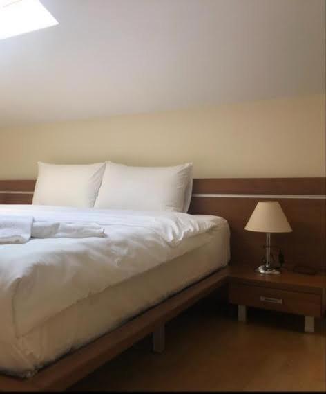 Dolomiti Apartments 班斯科 外观 照片