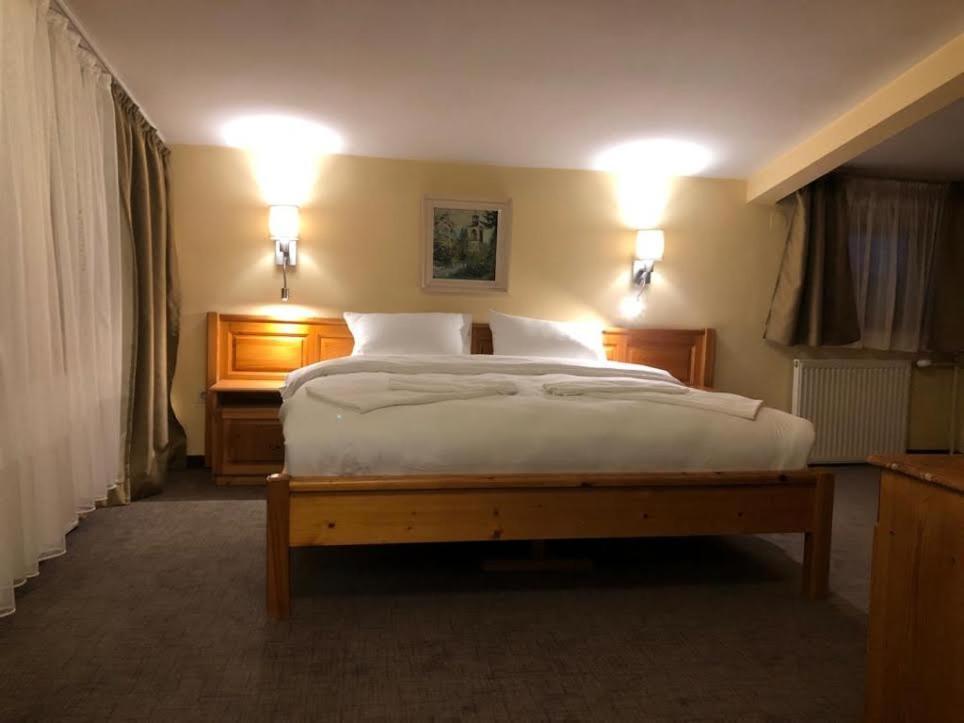 Dolomiti Apartments 班斯科 外观 照片
